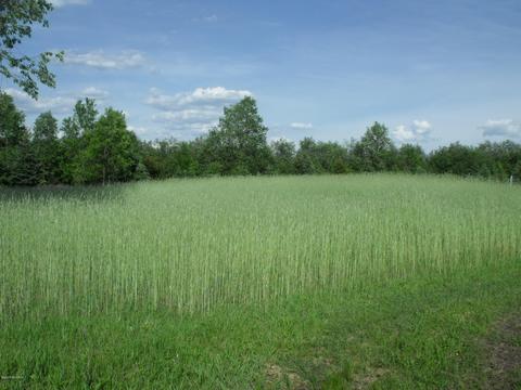 360 7 Mile Rd, Sears, MI 49679 photo 41