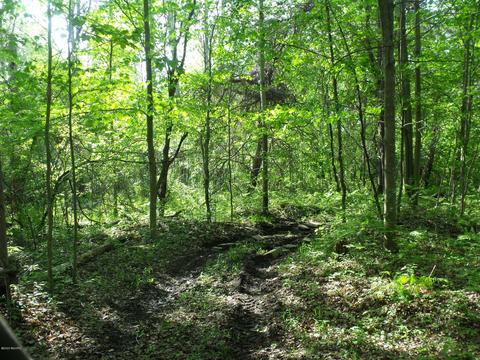 360 7 Mile Rd, Sears, MI 49679 photo 76