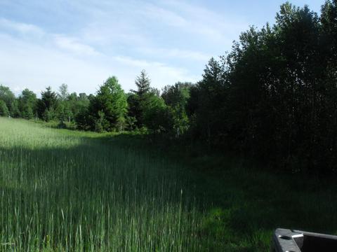 360 7 Mile Rd, Sears, MI 49679 photo 55