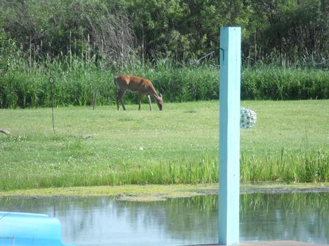 360 7 Mile Rd, Sears, MI 49679 photo 113