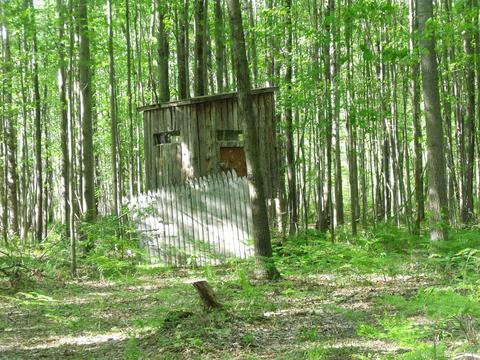 360 7 Mile Rd, Sears, MI 49679 photo 64