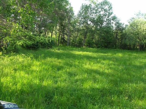360 7 Mile Rd, Sears, MI 49679 photo 33