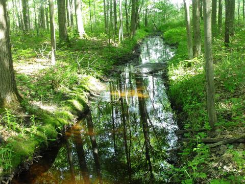 360 7 Mile Rd, Sears, MI 49679 photo 66