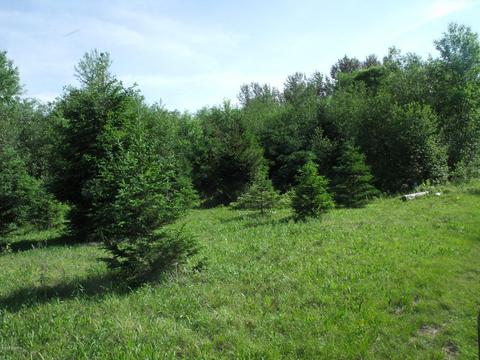 360 7 Mile Rd, Sears, MI 49679 photo 46