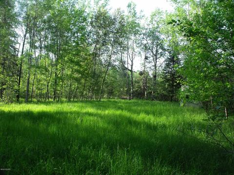 360 7 Mile Rd, Sears, MI 49679 photo 100