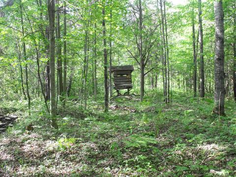 360 7 Mile Rd, Sears, MI 49679 photo 75