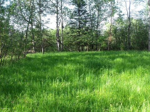 360 7 Mile Rd, Sears, MI 49679 photo 102