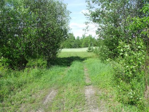 360 7 Mile Rd, Sears, MI 49679 photo 38