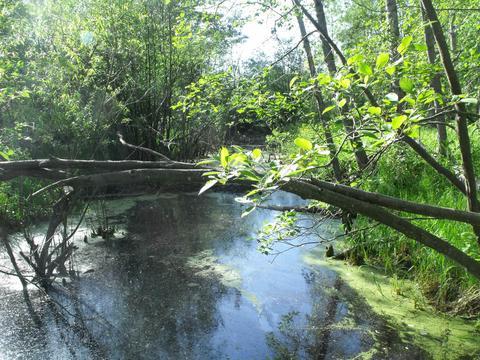 360 7 Mile Rd, Sears, MI 49679 photo 92