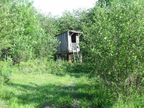360 7 Mile Rd, Sears, MI 49679 photo 97