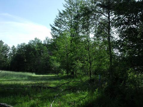 360 7 Mile Rd, Sears, MI 49679 photo 86