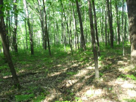 360 7 Mile Rd, Sears, MI 49679 photo 69