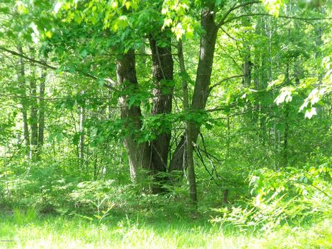 360 7 Mile Rd, Sears, MI 49679 photo 82