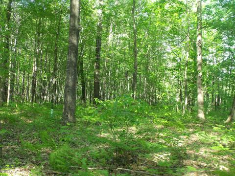 360 7 Mile Rd, Sears, MI 49679 photo 61