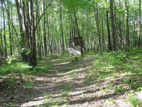 360 7 Mile Rd, Sears, MI 49679 photo 63