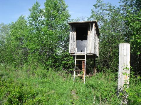 360 7 Mile Rd, Sears, MI 49679 photo 35