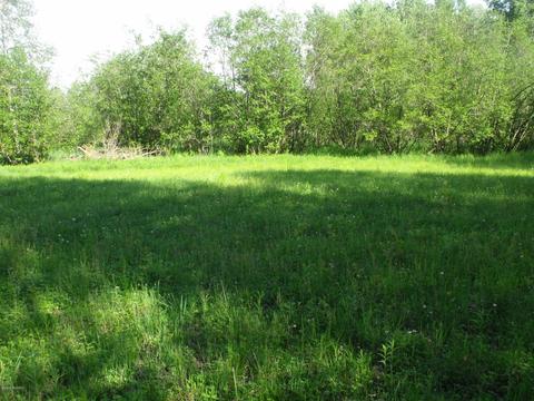 360 7 Mile Rd, Sears, MI 49679 photo 31