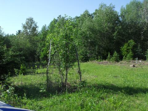 360 7 Mile Rd, Sears, MI 49679 photo 50
