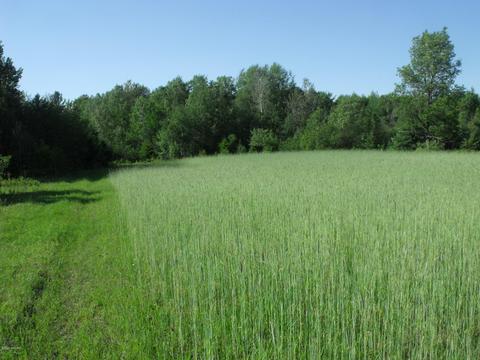 360 7 Mile Rd, Sears, MI 49679 photo 49