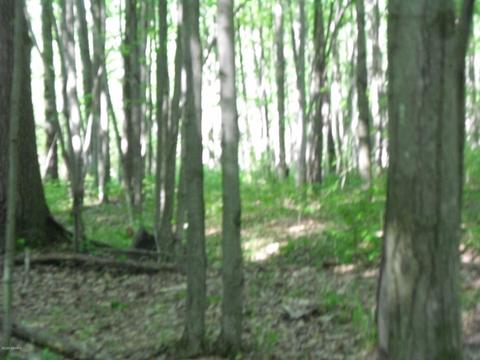 360 7 Mile Rd, Sears, MI 49679 photo 65