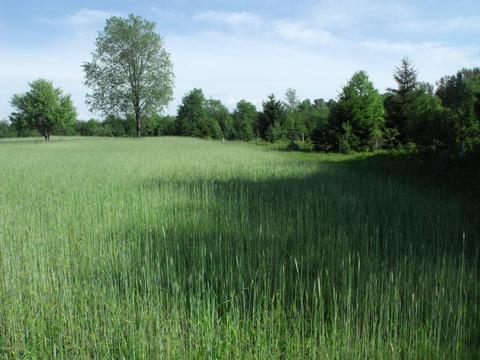 360 7 Mile Rd, Sears, MI 49679 photo 54