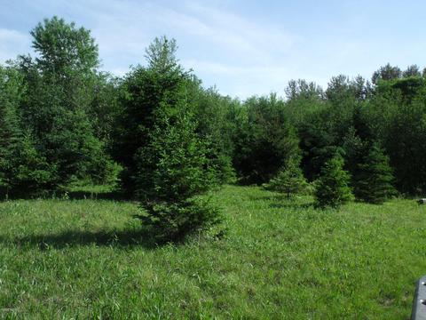 360 7 Mile Rd, Sears, MI 49679 photo 45