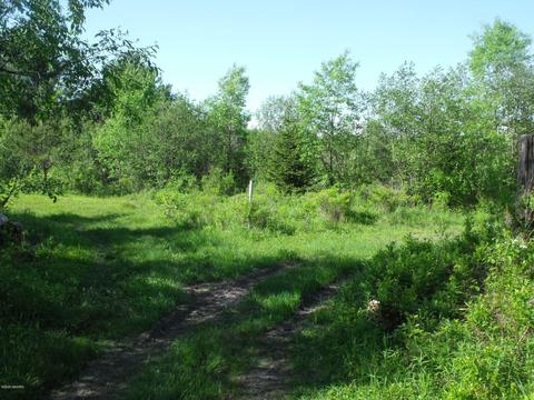 360 7 Mile Rd, Sears, MI 49679 photo 36