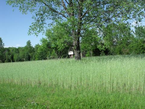 360 7 Mile Rd, Sears, MI 49679 photo 42