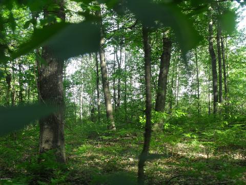 360 7 Mile Rd, Sears, MI 49679 photo 62