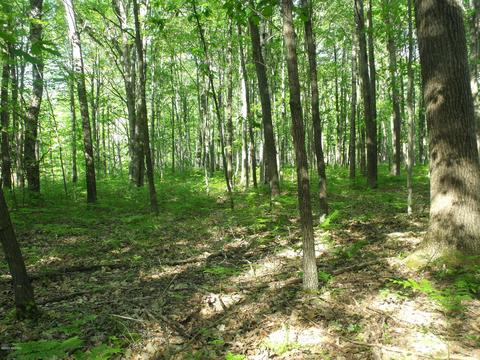 360 7 Mile Rd, Sears, MI 49679 photo 70