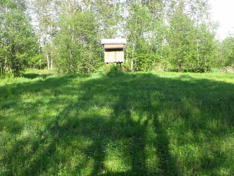 360 7 Mile Rd, Sears, MI 49679 photo 32