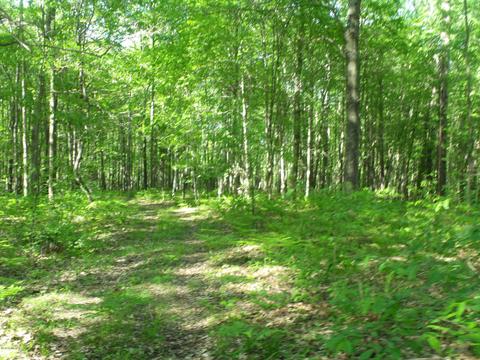 360 7 Mile Rd, Sears, MI 49679 photo 60