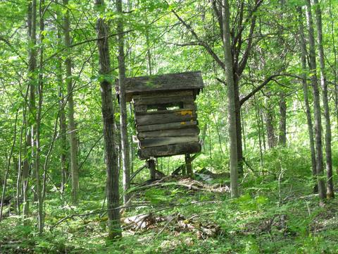 360 7 Mile Rd, Sears, MI 49679 photo 74