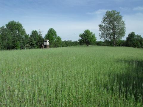 360 7 Mile Rd, Sears, MI 49679 photo 53