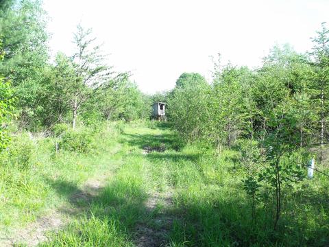 360 7 Mile Rd, Sears, MI 49679 photo 98