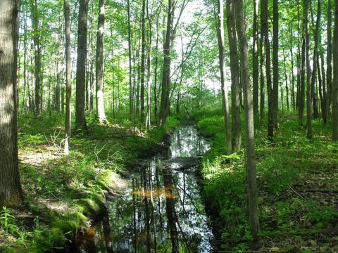 360 7 Mile Rd, Sears, MI 49679 photo 68