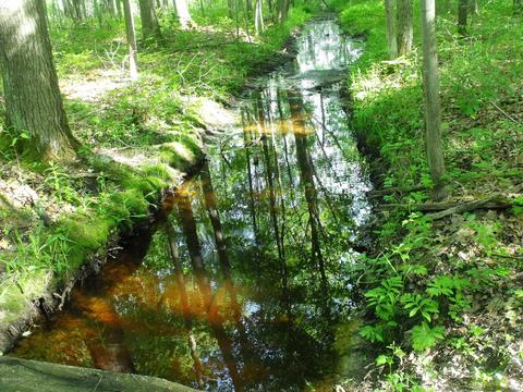360 7 Mile Rd, Sears, MI 49679 photo 67
