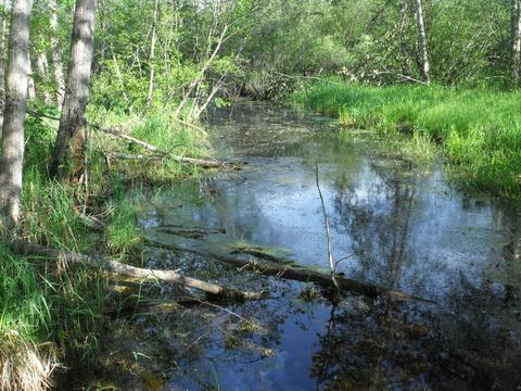 360 7 Mile Rd, Sears, MI 49679 photo 91
