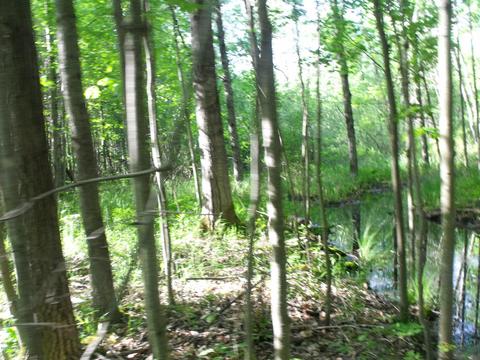 360 7 Mile Rd, Sears, MI 49679 photo 73