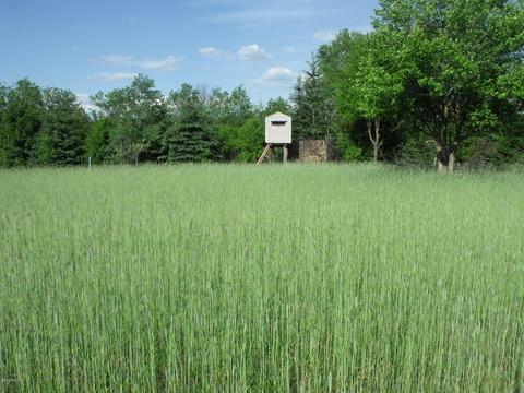 360 7 Mile Rd, Sears, MI 49679 photo 48
