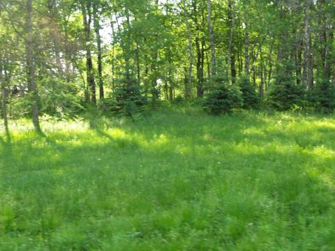 360 7 Mile Rd, Sears, MI 49679 photo 28