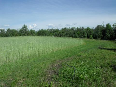 360 7 Mile Rd, Sears, MI 49679 photo 40