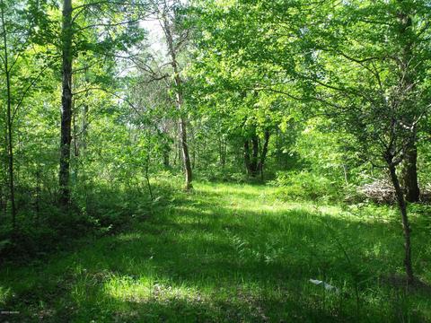 360 7 Mile Rd, Sears, MI 49679 photo 81