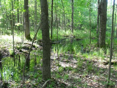 360 7 Mile Rd, Sears, MI 49679 photo 72