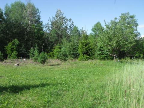 360 7 Mile Rd, Sears, MI 49679 photo 51