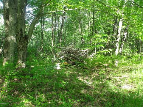 360 7 Mile Rd, Sears, MI 49679 photo 84