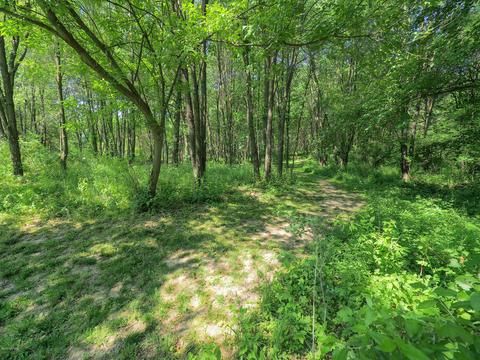 90 1st St, Plainwell, MI 49080 photo 31