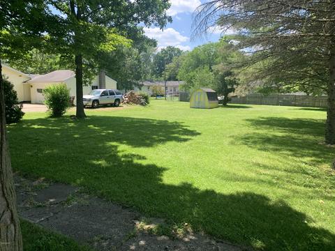 305 N Tabor St, Lyons, MI 48851 photo 2