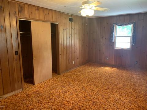 305 N Tabor St, Lyons, MI 48851 photo 11