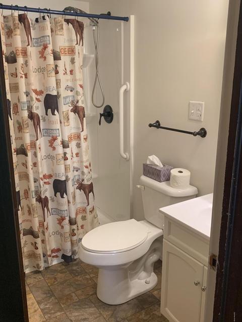305 N Tabor St, Lyons, MI 48851 photo 10